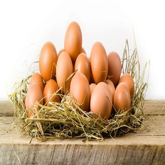 chicken-poultry-eggs-2.webp
