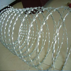 Barbed Silver Wire