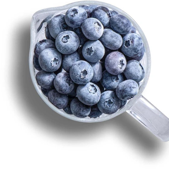 frozen-blueberry-fruits-2.webp