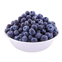  Frozen Blueberry Fruits