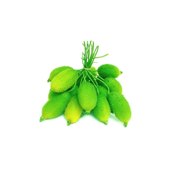 spiny-gourd-2.webp