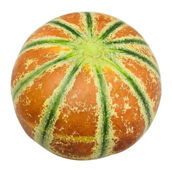 kajri-muskmelon-seeds-2.webp