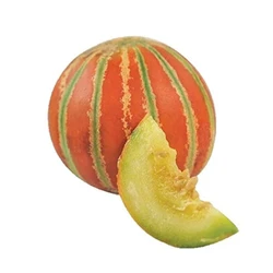 Kajri - Muskmelon Seeds