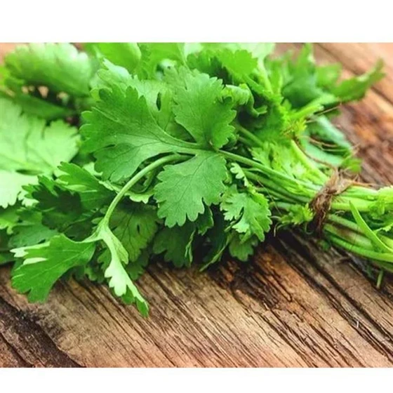 green-wonder-coriander-seeds-2.webp
