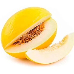 Yellow Muskmelon Seeds