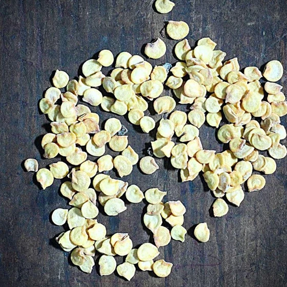 dried-hybrid-capsicum-seeds-2.webp
