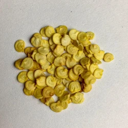 Dried Hybrid Capsicum Seeds