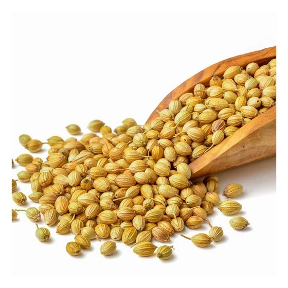 whole-round-coriander-seed-2.webp