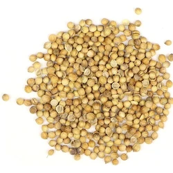 Whole Round Coriander Seed