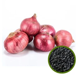 Vegetable Onion Seed