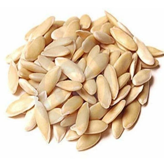 organic-cucumber-seeds-2.webp