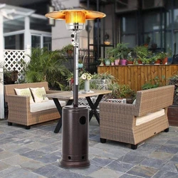 Freestanding Ss Space Heater