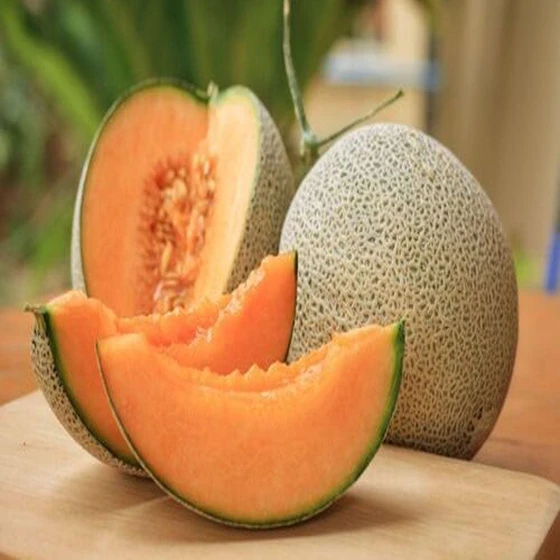 gladial-fl-melon-2.webp