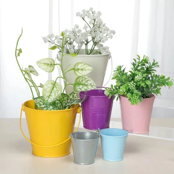 flower-plant-iron-bucket-2.webp