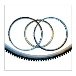 SAE1045 Starter Ring Gear