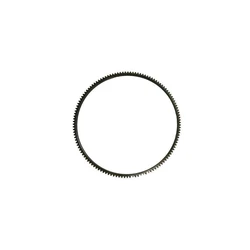 MS Cumming Ring Gea