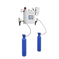 Gas Manifold System