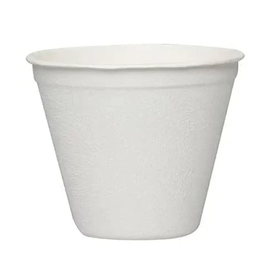 disposable-sugarcane-cup-2.webp