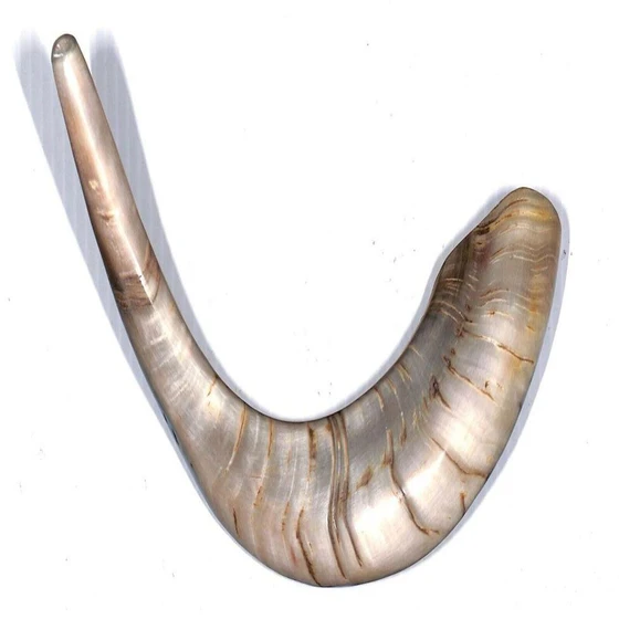 sheep-horn-shofer-2.webp
