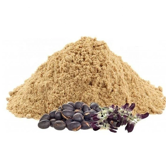 mucuna-pruriens-extract-2.webp