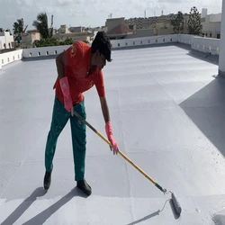 Roof Waterproofing Service