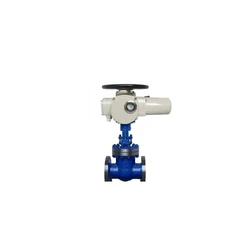 Gate Electric Valve