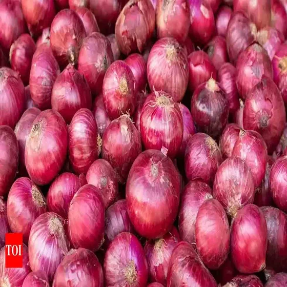 onion-rate-today.webp