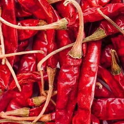 Great Selection Dry Red Chilles Organically Grown Shop Now