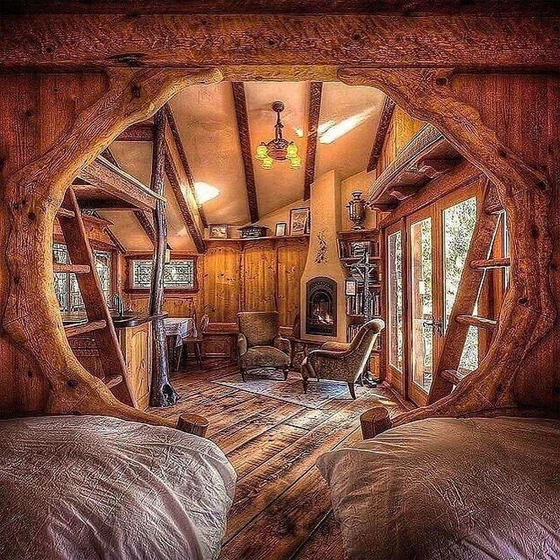 cabins-houses-1.webp