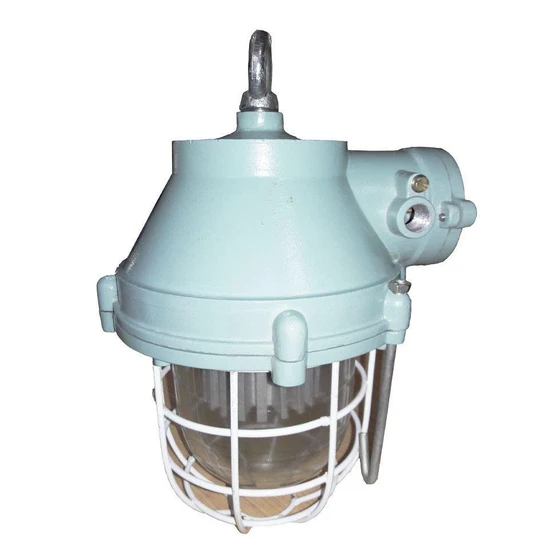 flameproof-lamp-fitting-2.webp