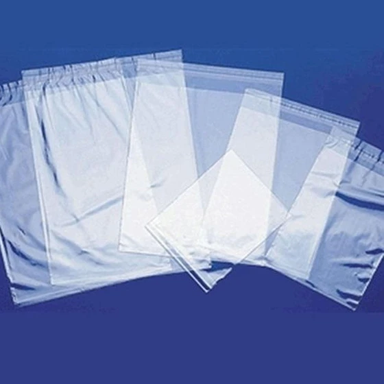 courier-transparent-bag-2.webp