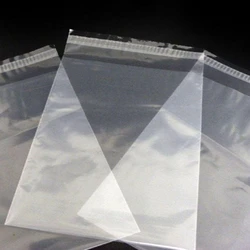 Courier Transparent Bag