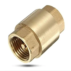 Non Return Valve
