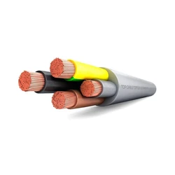 Electric Cable