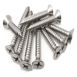 Stainless Steel Screws
