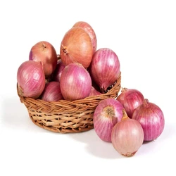 Natural Fresh Onion