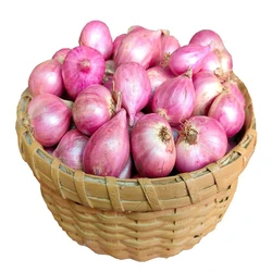 Small Fresh Onion