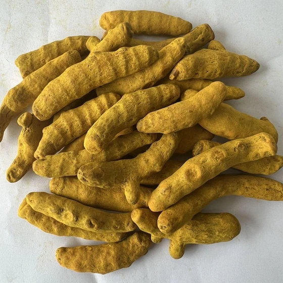 yellow-turmeric-finger-2.webp