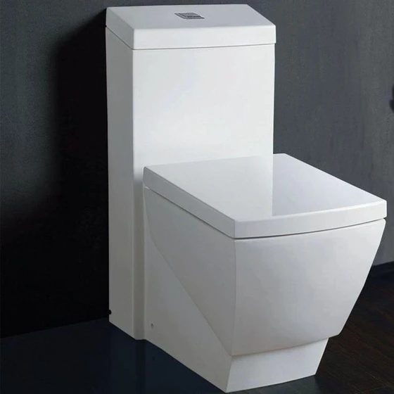 one-piece-rectangular-toilet-2.webp