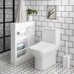 One Piece Rectangular Toilet