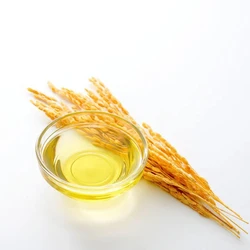 Liquid Rice Bran Oil