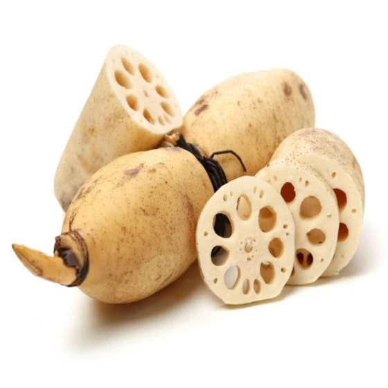 fresh-lotus-roots-2.webp