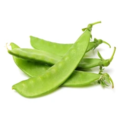 Fresh Green Snow Pea