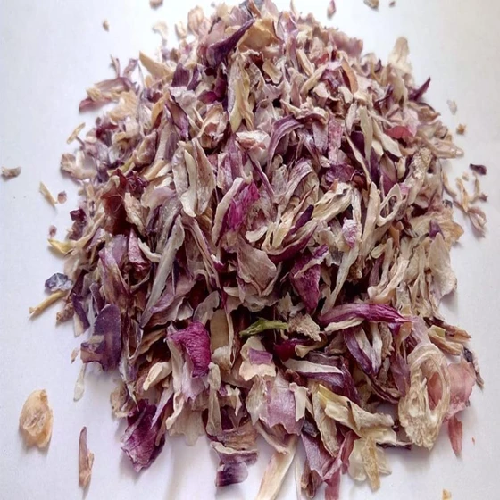 dehydrate-onion-2.webp