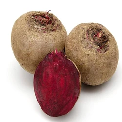 Round Fresh Beetroot