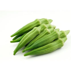 Green Lady Finger