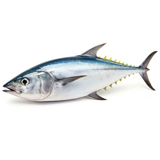 raw-bonito-fish-2.webp