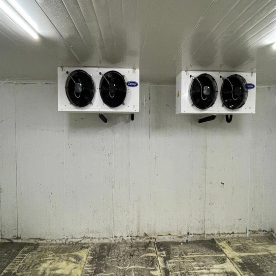 chicken-cold-room-2.webp