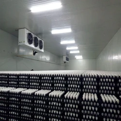 Egg Cold Room