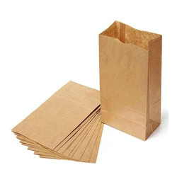 Brown Paper Pouch